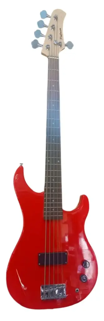 Bajo de 5 cuerdas PALMER PB5-MNB