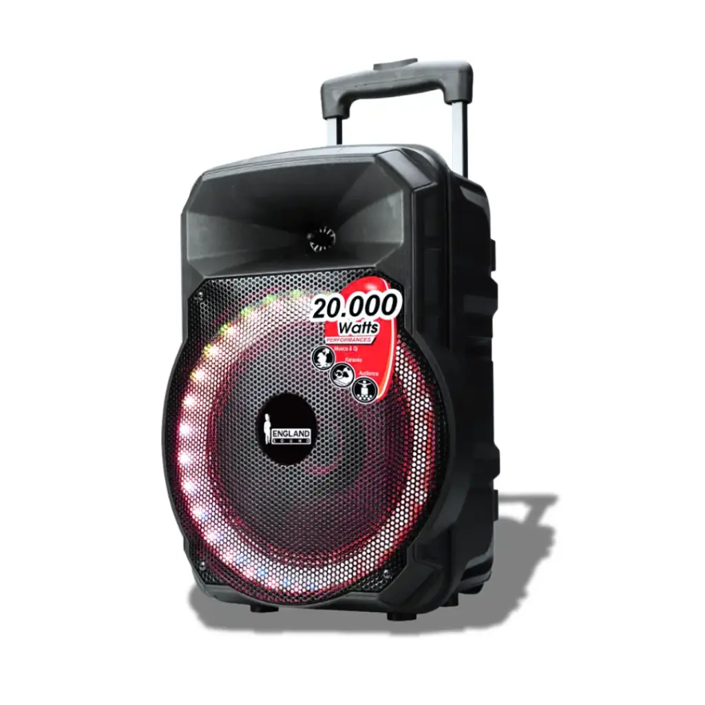 Parlante ENGLAND SOUND ES-RHYTHMIC de 20000W