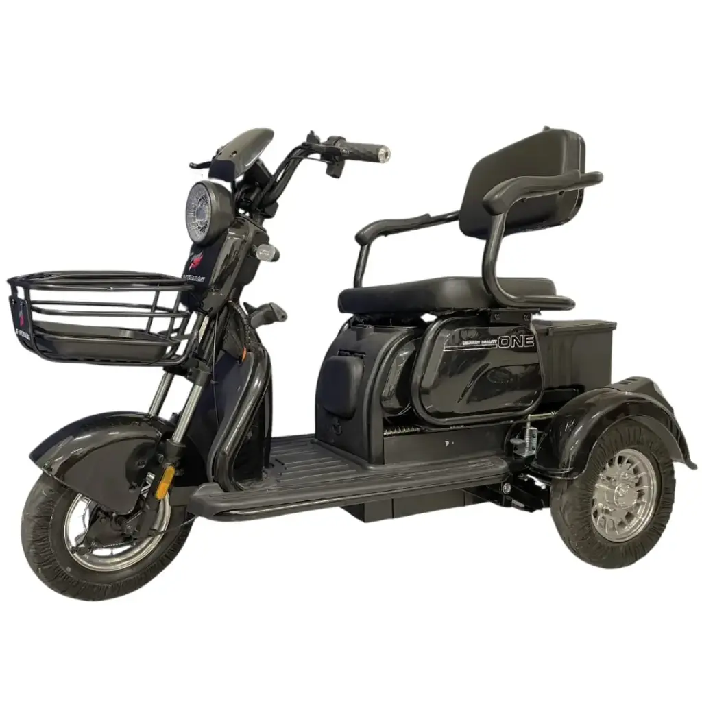Tricimoto GINHAE 500w