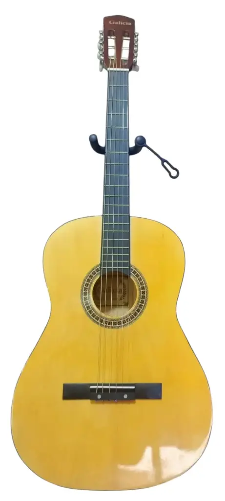 Guitarra Galicia tamaño estándar con cuerdas de metal