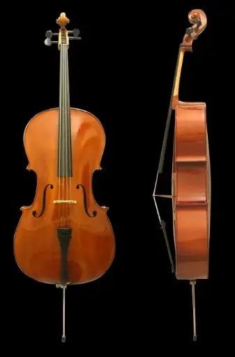 Violonchelo 