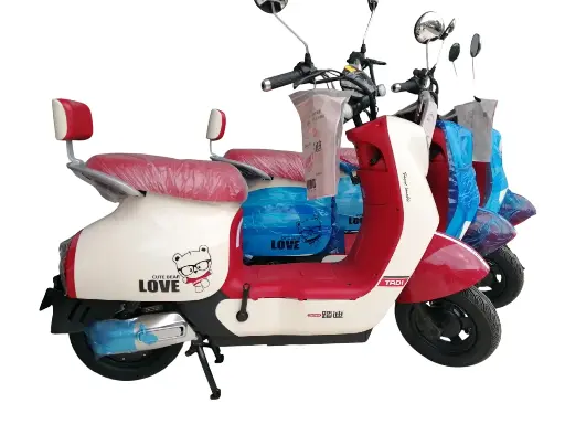 MOTO ELÉCTRICA TIPO PASOLA 350W TADI.