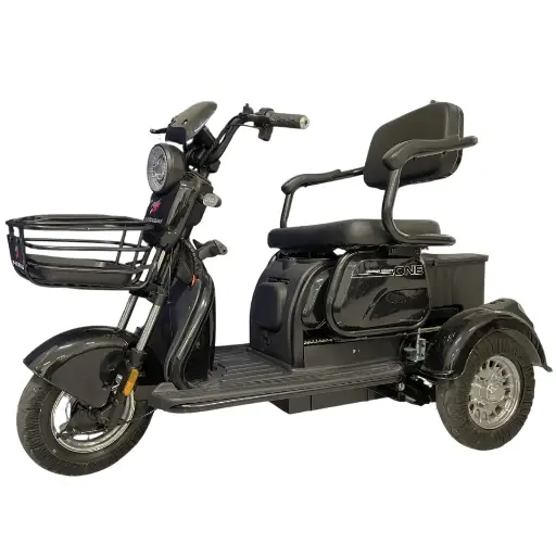 Tricimoto GINHAE 500w