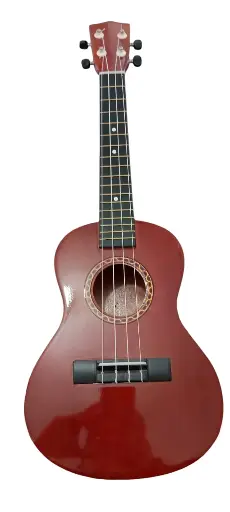 Ukelele acústico de concierto con cuerdas de nylon